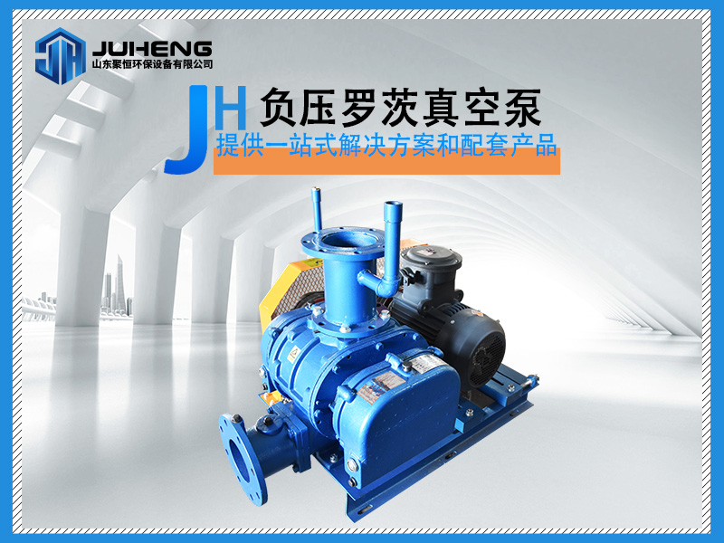 負壓羅茨真空泵